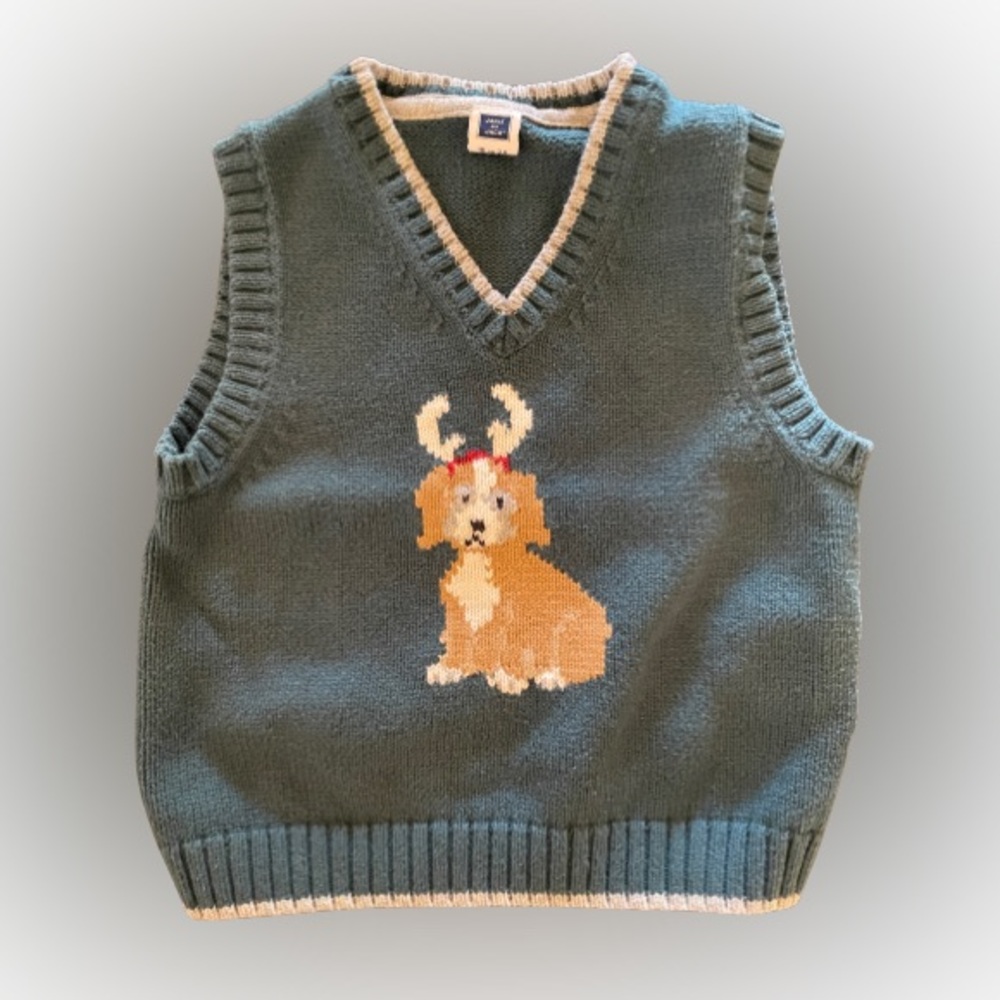 Used Toddler Vest